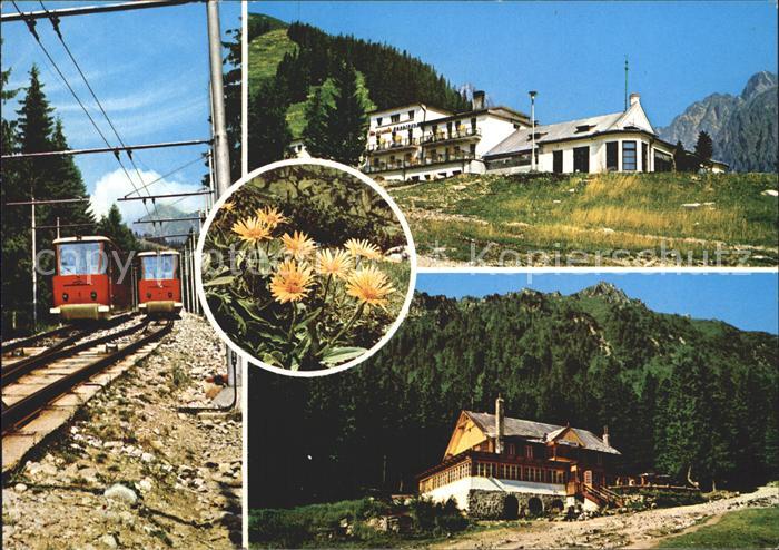 Vysoke Tatry Berghaeuser und Bahn