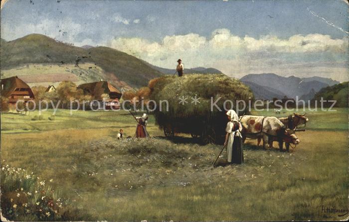 Hoffmann Heinrich Heuernte Schwarzwald