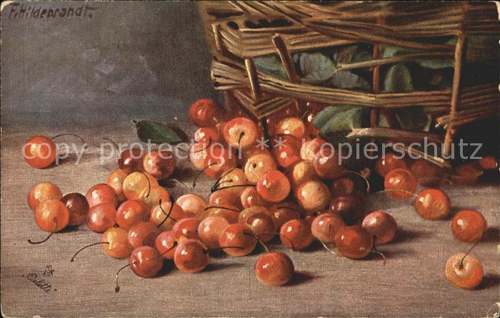 Verlag Tucks Oilette Nr. 524 F. Hildebrandt Kirschen