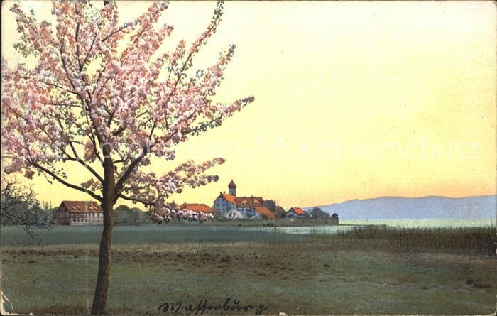 Verlag Photochromie Nr. 3039 Serie 172 Bodensee Wasserburg