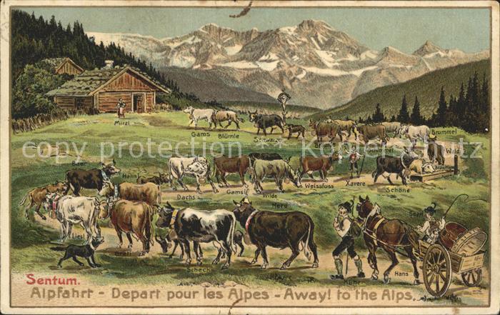Kuehe Alpfahrt Sentum Pferdekutsche Litho