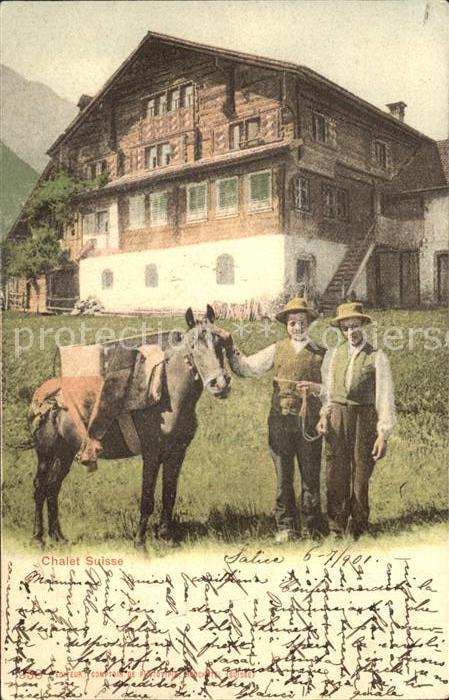 Esel Tiere Älpler Bauernhaus Chalet Suisse