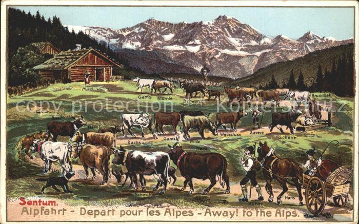 Kuehe Alpfahrt Pferdekutsche aelpler Sentum Litho