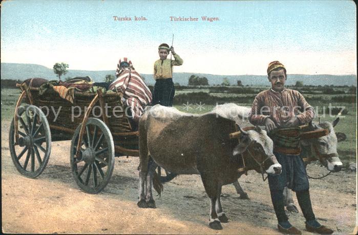 Kuehe Tuerkischer Wagen Typen Tuerkei