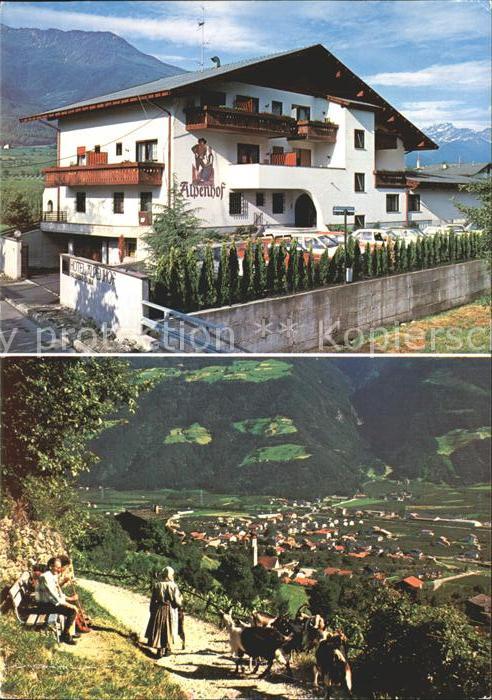 Naturns Hotel Alpenhof