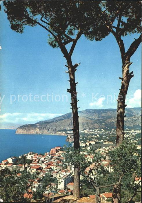 Sorrento Campania Pinien