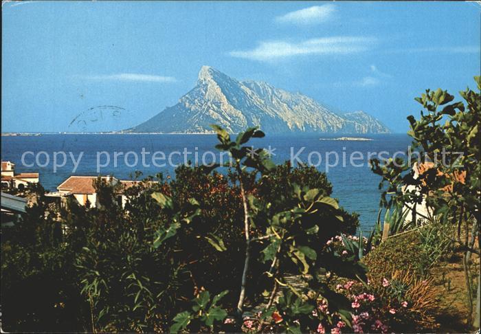 San Teodoro Cala Girgolu Isola di Tavolara