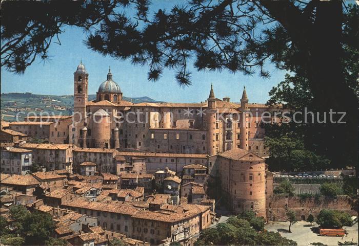Urbino