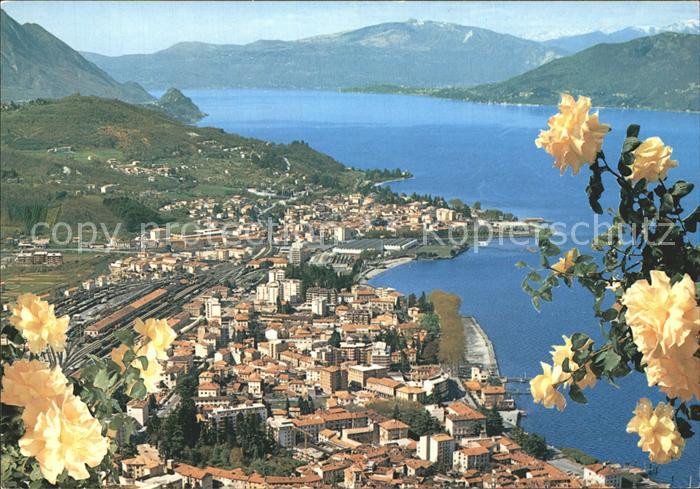 Luino