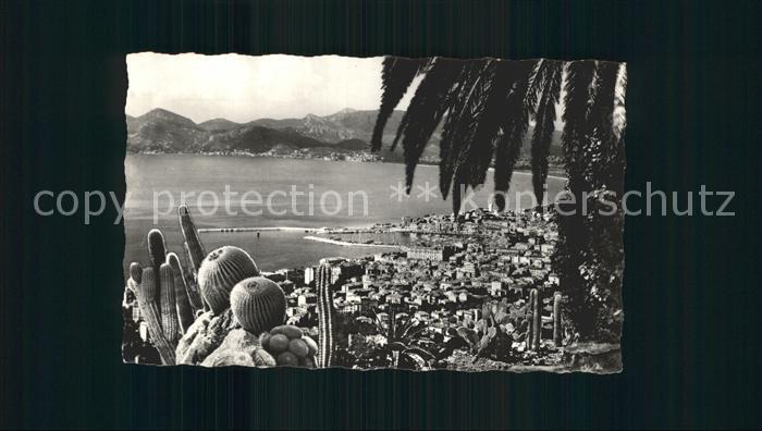 Cannes Alpes-Maritimes Gesamtansicht