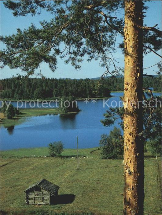 Suomi Blick auf den See