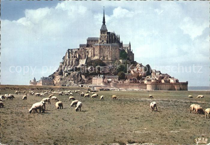 Le Mont-Saint-Michel Salzweiden