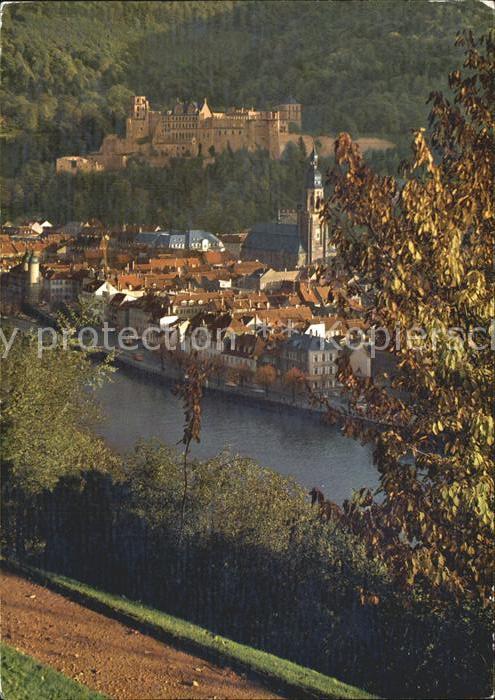 Alt Heidelberg Neckar Vom Philosophenweg gesehen