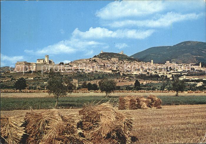 Assisi Umbria Panorama