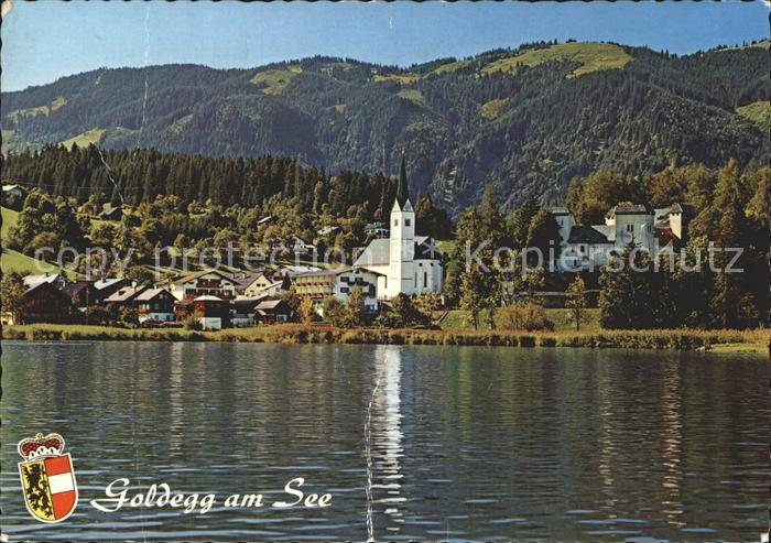 Goldegg Vom See aus gesehen