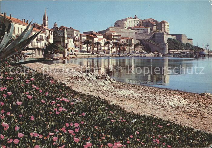 Calvi Le Port la Citadelle