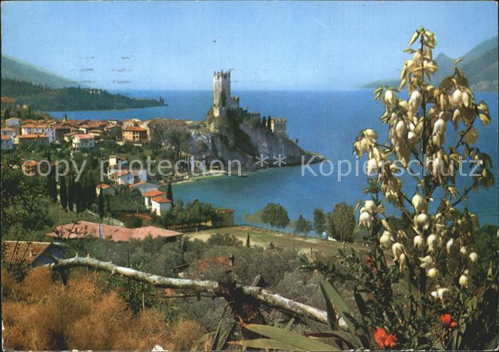 Malcesine Lago di Garda il Castello