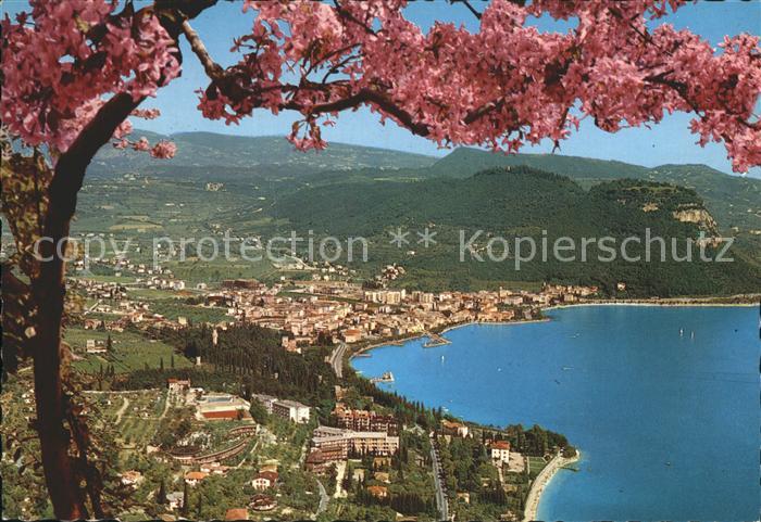 Garda Lago di Garda Panorama Gardasee Baumbluete