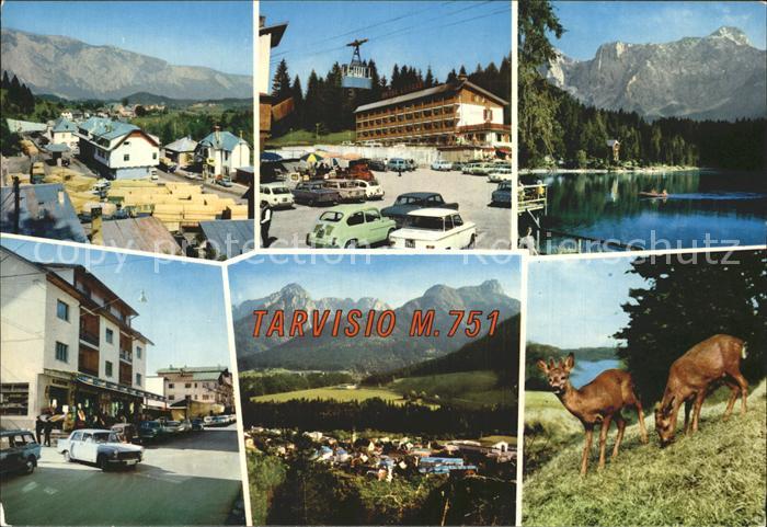 Tarvisio r
te

Teilansichten Bergbahn See Rehe Alpen