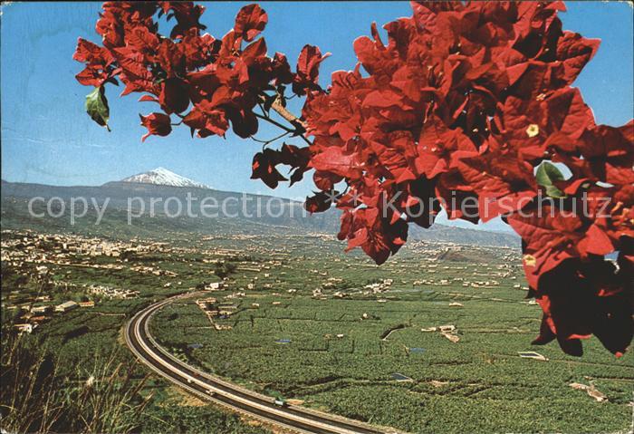 La Orotava Vista del Valle Autopista Teide Flores