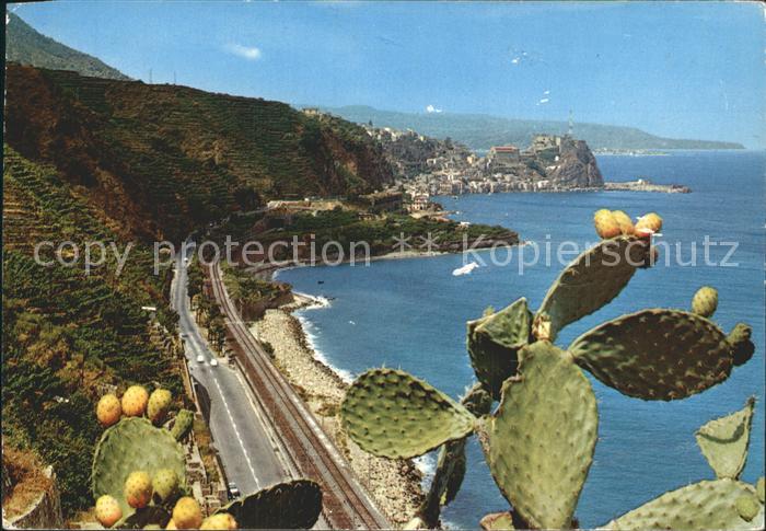 Scilla Kalabrien Panorama pittoresca Kueste Kaktus