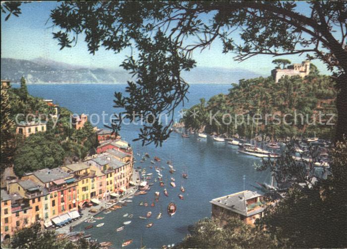 Portofino Liguria Panorama tra gli Ulivi Porto Hafen