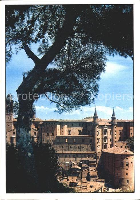 Urbino Scorcio del Palazzo Ducale con torricini Herzogspalast