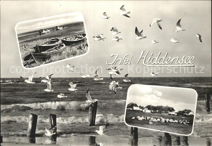 Neuendorf Hiddensee Moewen am Strand Fischerboote