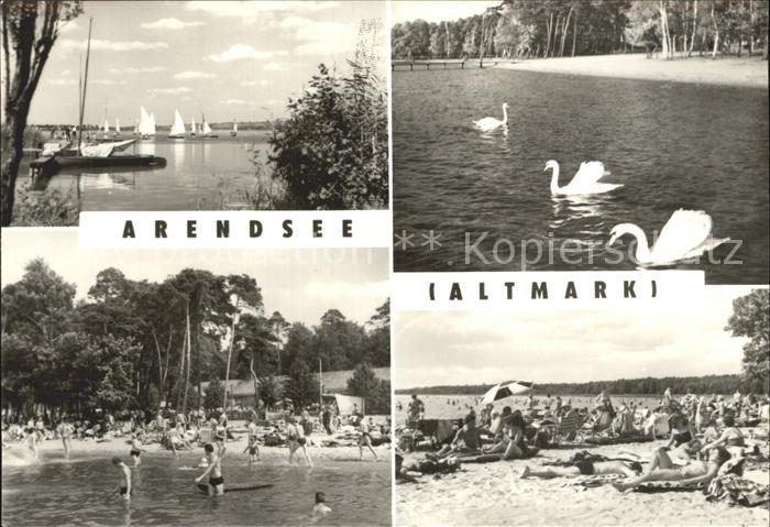 Arendsee Altmark Segelregatta Strand Schwaene