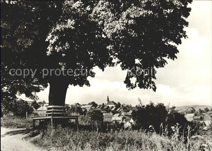 Meura Alter Baum Ruhebank