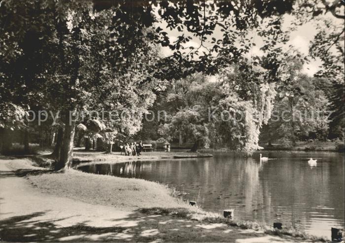 Bad Liebenstein Elisabeth Park Schwanenteich