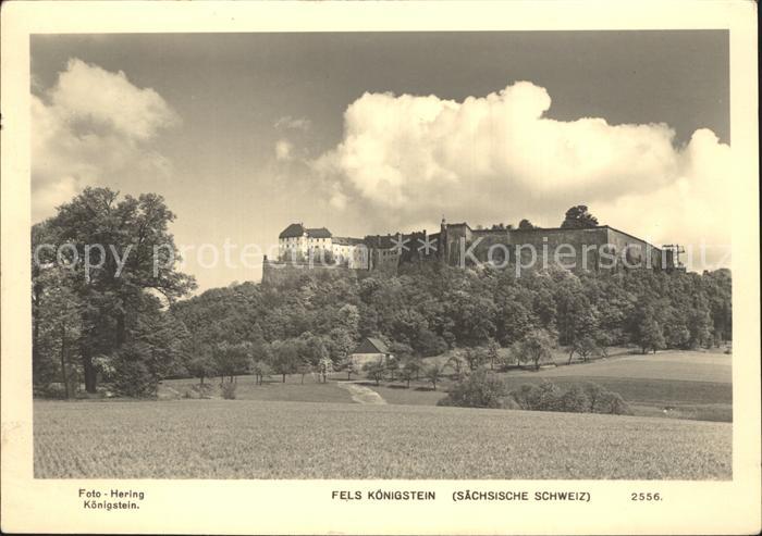 Koenigstein Saechsische Schweiz Festung Fels