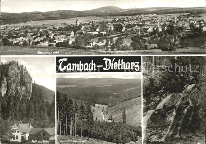 Dietharz Tambach Gesamtansicht Spitterfall Wasserfall Mittelwasser Falkenstein