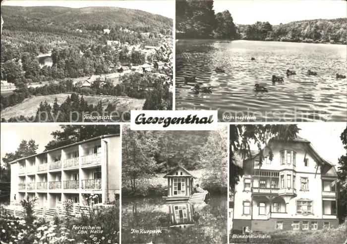 Georgenthal Teilansicht Hammerteich Ferienheim LBK Halle Kurpark Blindenkurheim