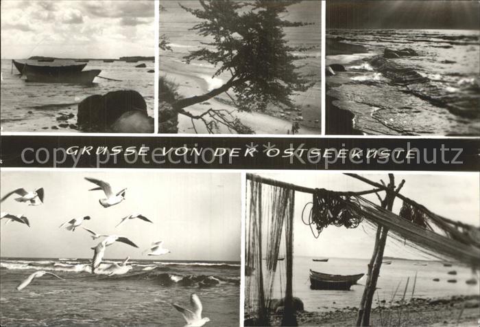 Greifswald Mecklenburg Vorpommern Ostseekueste Moewen Fischernetze