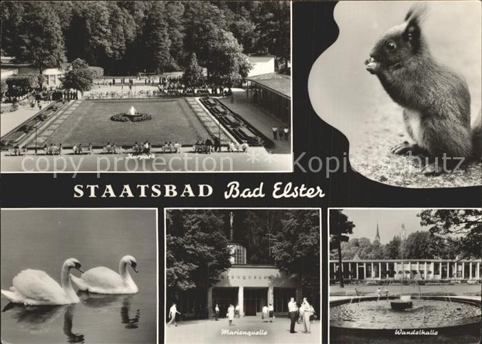 Bad Elster Kurpark Eichhoernchen Wandelhalle Marienquelle Schwaene