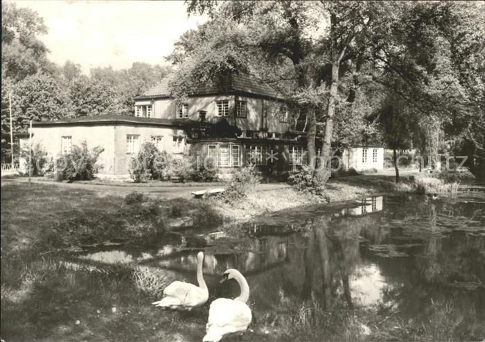 Heiligenstadt Eichsfeld Kneippbad Schwanenteich
