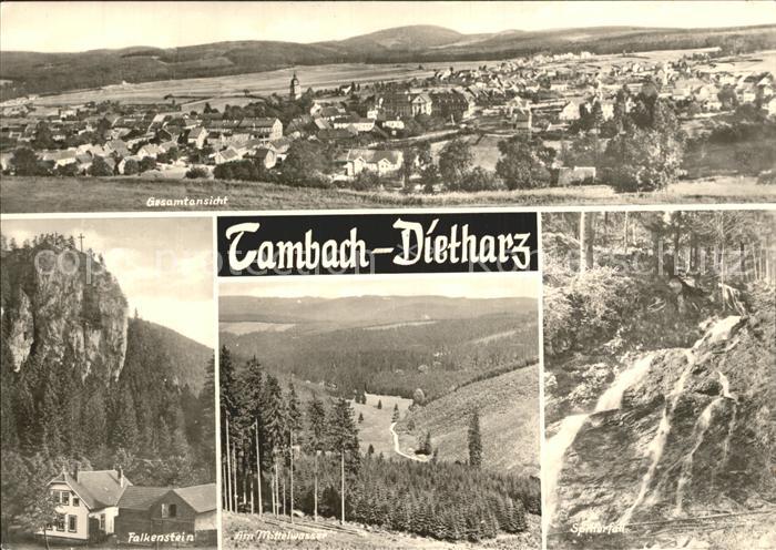 Dietharz Tambach Gesamtansicht Falkenstein Mittelwasser Splitterfall Wasserfall