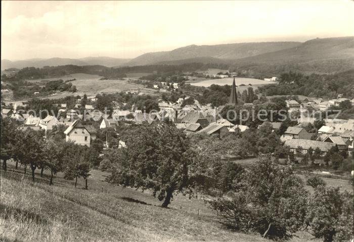 Neustadt Harz Panorama Luftkurort Erholungsort der Werktaetigen