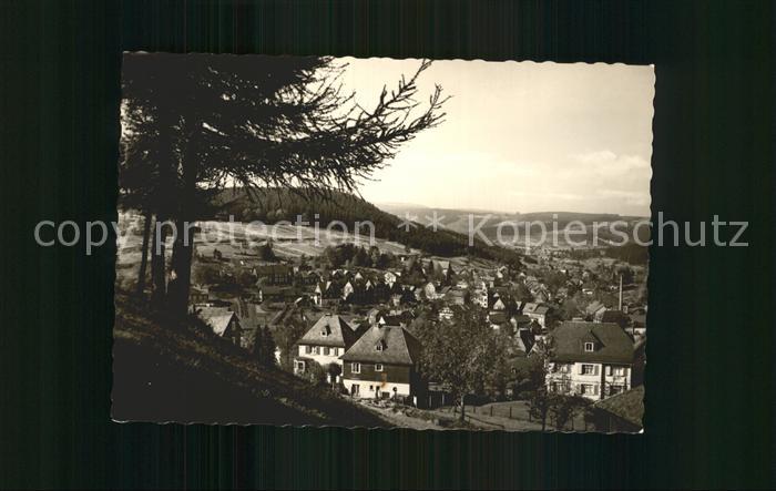 Stuetzerbach Panorama