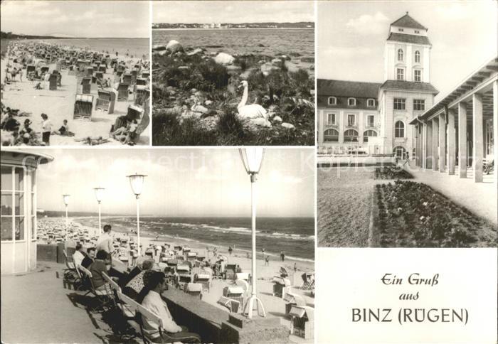 Binz Ruegen Strand Schwan Kurhaus