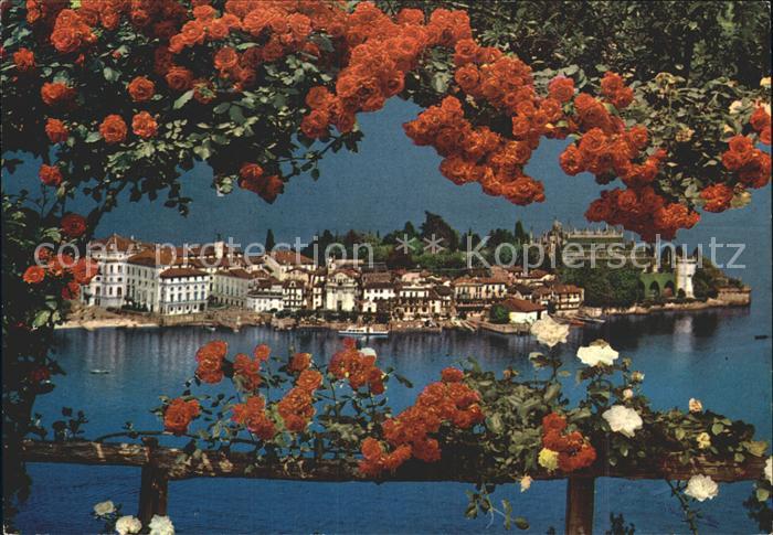 Isola Bella Lago Maggiore Rosenbusch Blick zur Insel