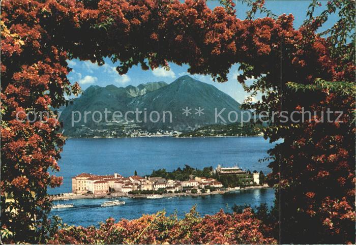 Isola Bella Lago Maggiore Rosenbusch Durchblick zur Insel