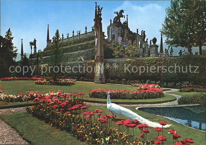 Isola Bella Lago Maggiore Giardino Garten Fasan