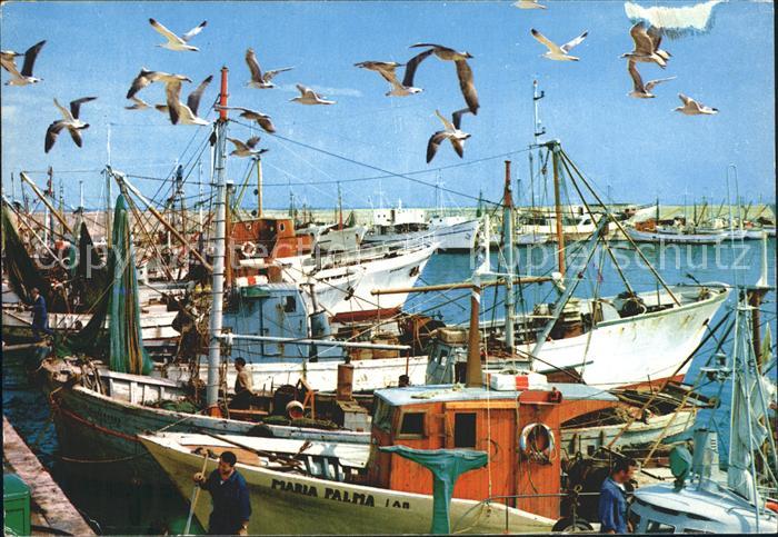 San Benedetto Del Tronto Porto Hafen Fischkutter Moewen