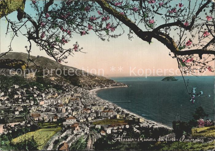 ALAssIO Savona Liguria IT Panorama Riviera dei fiori Baumbluete