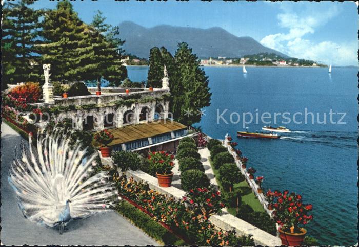 Isola Bella Lago Maggiore Giardino Pfau Gardasee