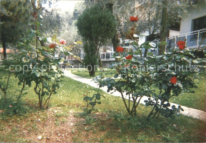 Brenzone Lago di Garda Hotel Residence Rely Garten Rosenstrauch