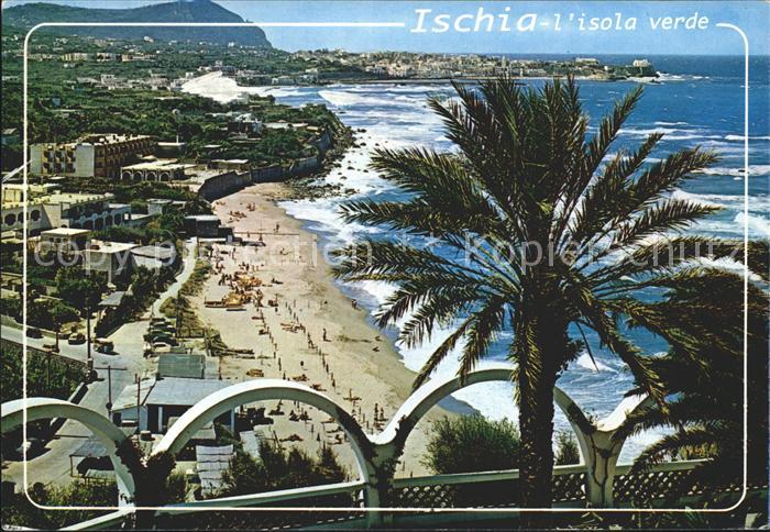 Forio d Ischia Panorama Isola Verde Spiaggia di San Francesco Palmen