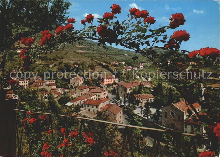 Arqua Petrarca Panorama Colli Euganei Rosenbusch